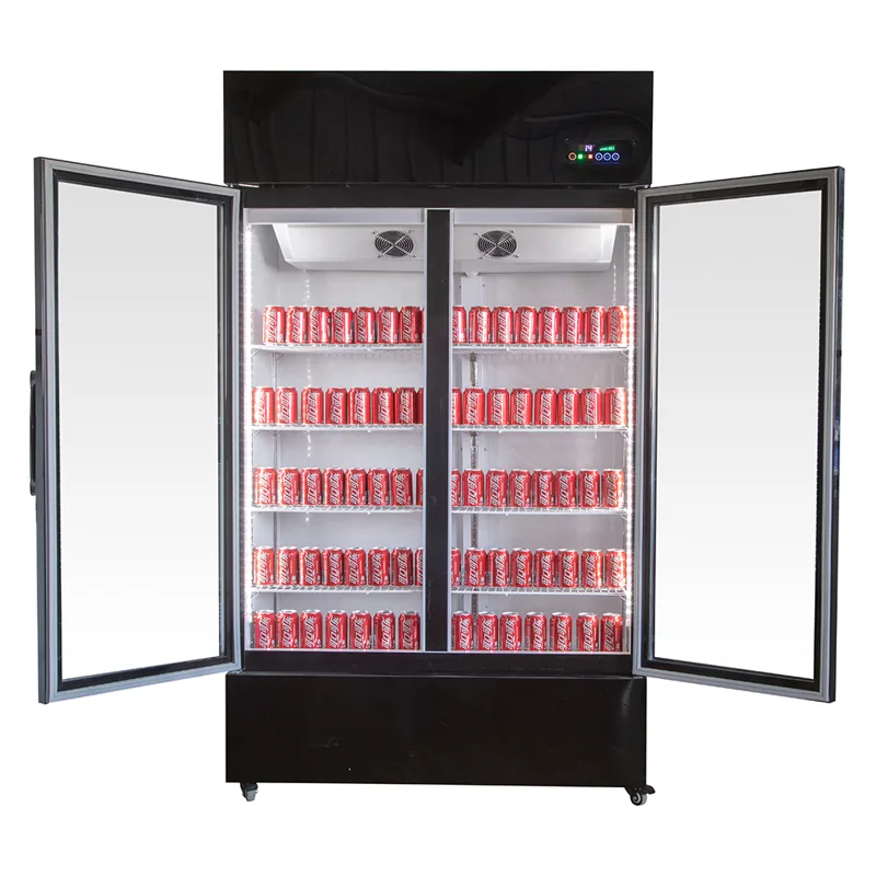 Réfrigérateur à boissons, réfr - Wine Beer Fridge avis et prix