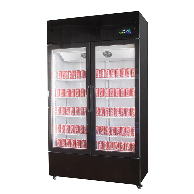 Réfrigérateur à boissons, réfr - Wine Beer Fridge avis et prix
