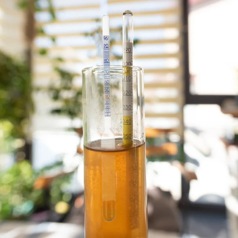 5 pièces d'hydromètres profess - Wine Beer Alcohol Percentage avis et prix
